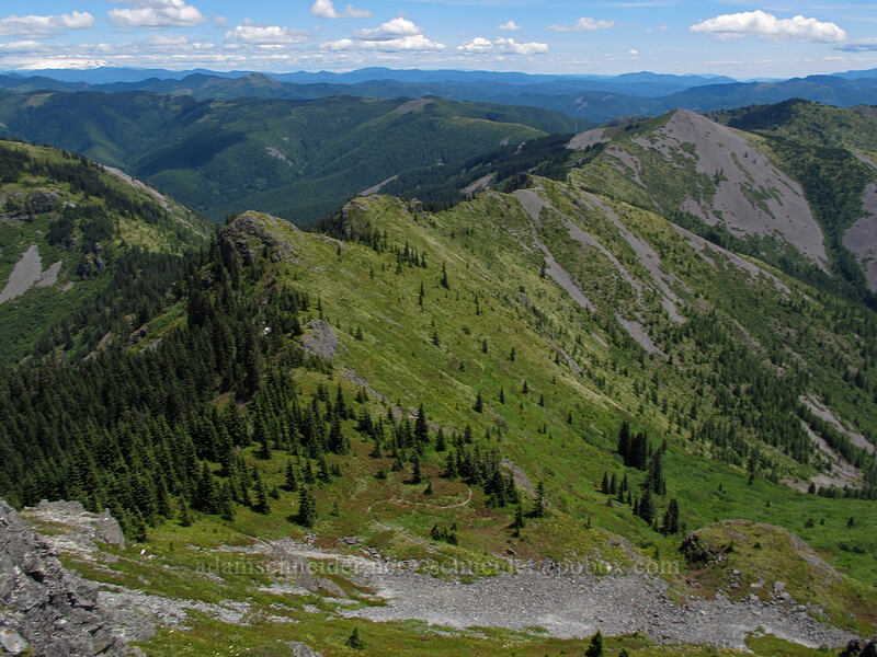 view to the east [Silver Star Mountain summit, Gifford Pinchot Nat'l Forest, Skamania County, Washington]