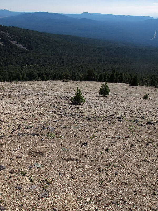 barren pumice slope [Mt. Thielsen's southwest face, Mt. Thielsen Wilderness, Douglas County, Oregon]