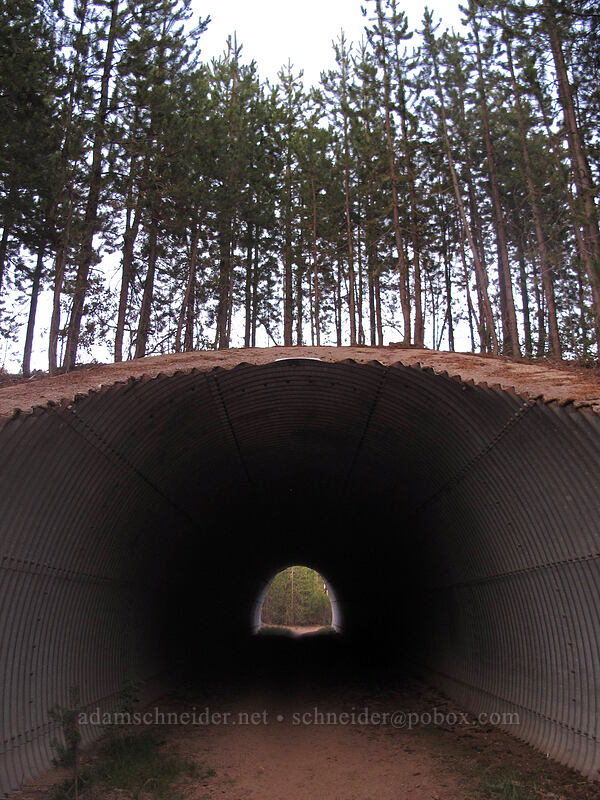tunnel under Highway 138 [Howlock Mountain Trail, Umpqua National Forest, Douglas County, Oregon]