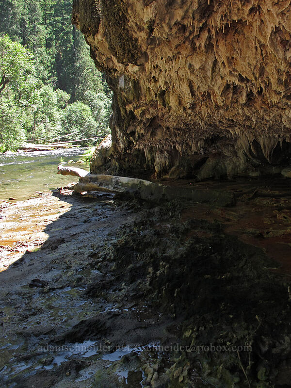 travertine stalactites by the river [Umpqua Hot Springs, Umpqua National Forest, Douglas County, Oregon]