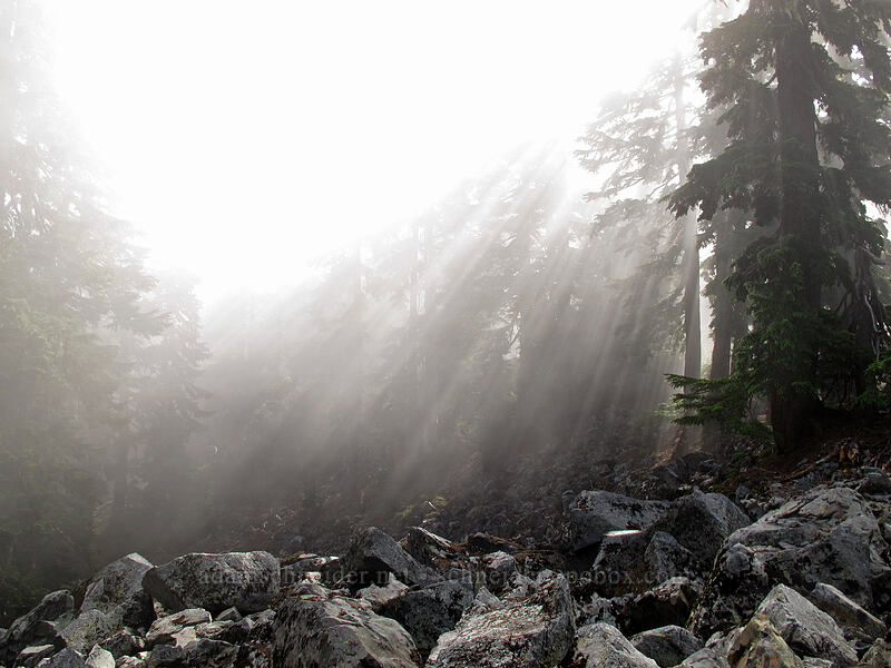 sunbeams through fog [Snow Lake Trail, Alpine Lakes Wilderness, King County, Washington]