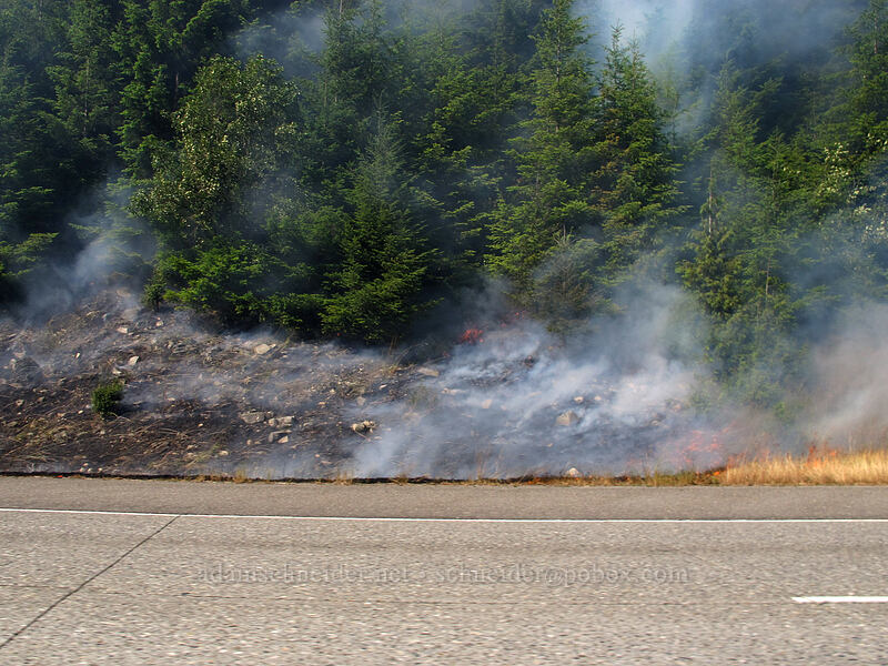 roadside grass fire [I-90, Snoqualmie National Forest, King County, Washington]