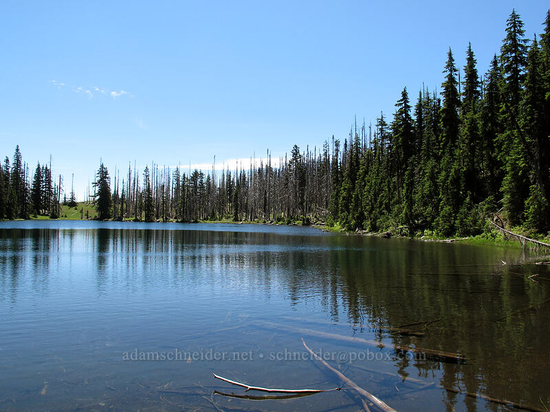 Martin Lake [Martin Lake, Mt. Jefferson Wilderness, Jefferson County, Oregon]