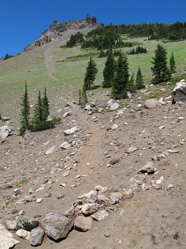 climber's trail [Three-Fingered Jack climber's trail, Mt. Jefferson Wilderness, Linn County, Oregon]