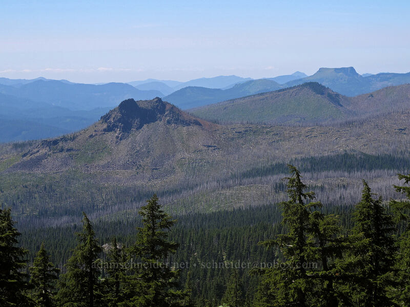 Duffy Butte, Turpentine Peak, & Coffin Mountain [Pacific Crest Trail, Mt. Jefferson Wilderness, Linn County, Oregon]