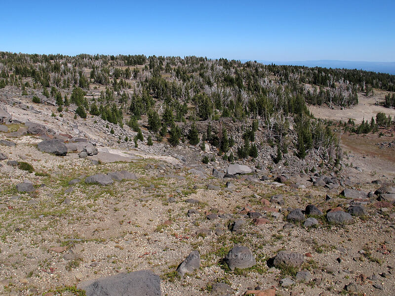 hiking cross-country [south of Tam McArthur Rim, Three Sisters Wilderness, Deschutes County, Oregon]