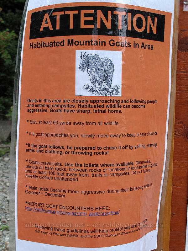 mountain goat warning sign [Esmeralda Trailhead, Wenatchee National Forest, Kittitas County, Washington]