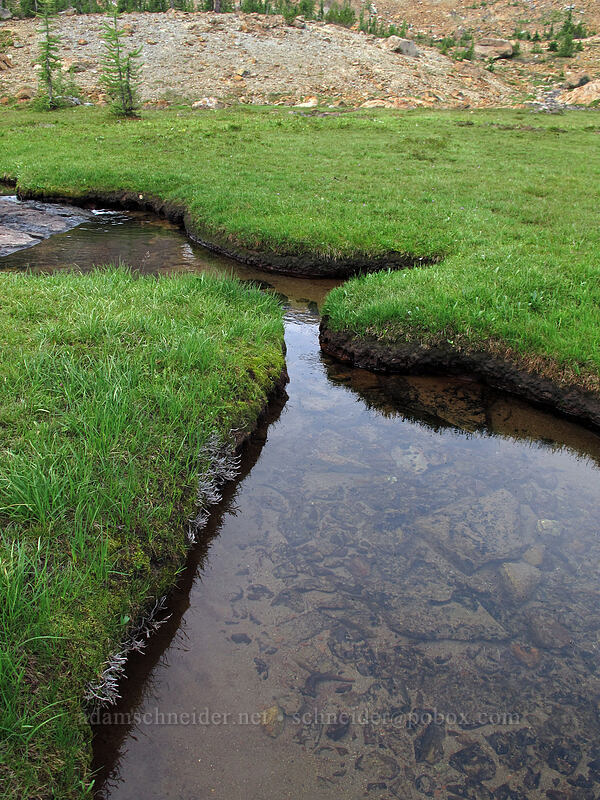 grass, water, mud, & rocks [Ingalls Way Trail, Alpine Lakes Wilderness, Chelan County, Washington]