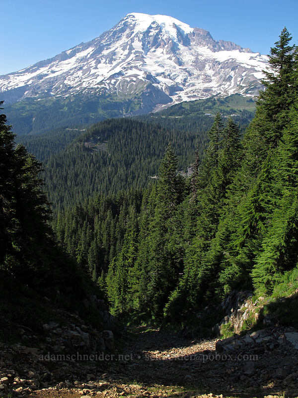 Mt. Rainier [Pinnacle Peak Trail, Mount Rainier National Park, Lewis County, Washington]