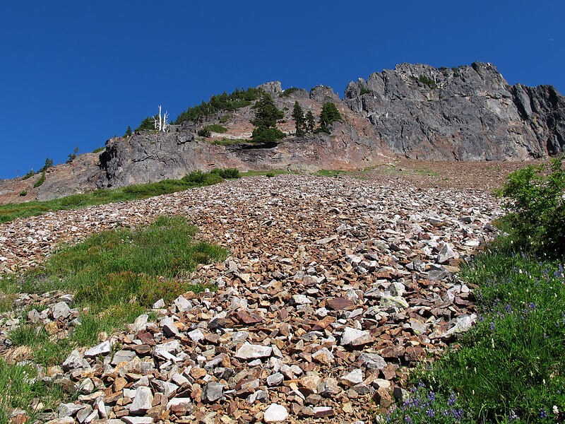 Pinnacle Peak [Pinnacle Peak Trail, Mount Rainier National Park, Lewis County, Washington]