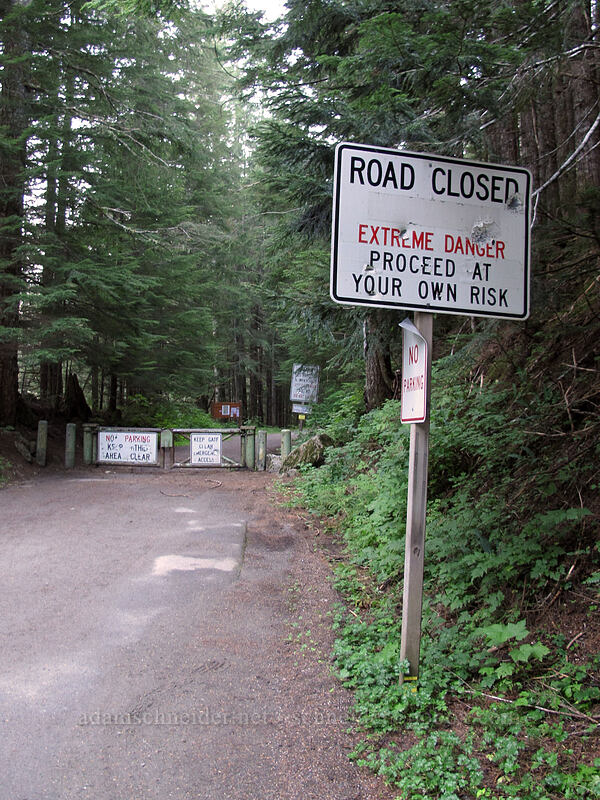 Extreme Danger! [Monte Cristo Trailhead, Mt. Baker-Snoqualmie National Forest, Snohomish County, Washington]