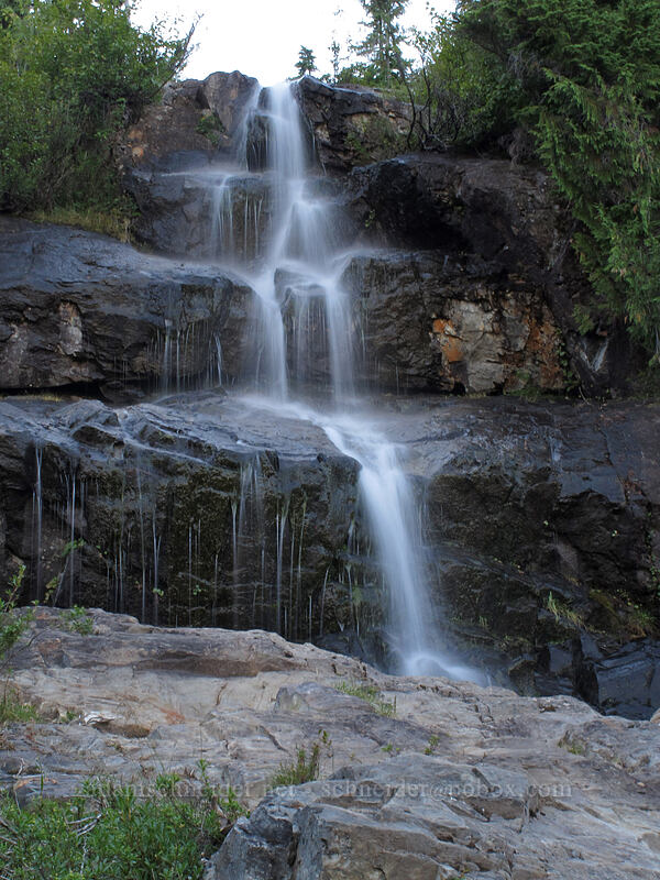 trailside waterfall [Weden Creek Trail, Morning Star NRCA, Snohomish County, Washington]
