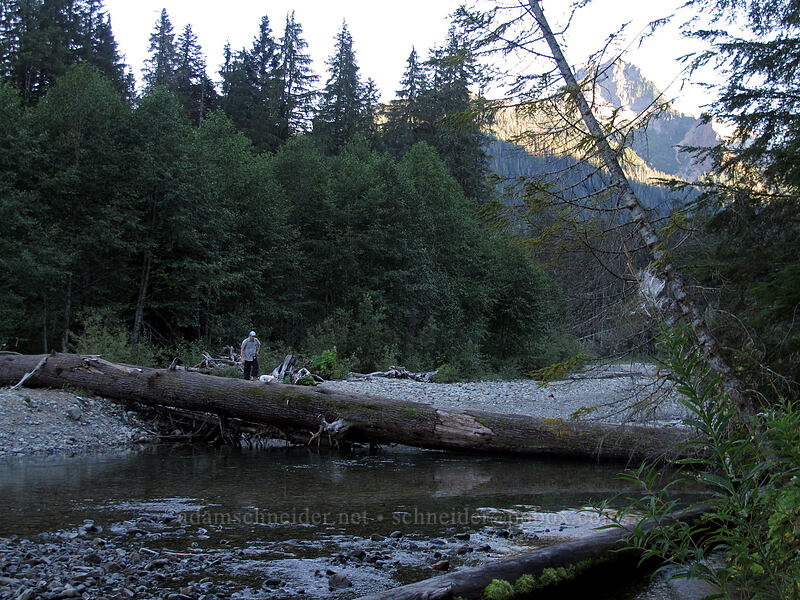 log bridge to Monte Cristo [Monte Cristo Trail, Mt. Baker-Snoqualmie National Forest, Snohomish County, Washington]