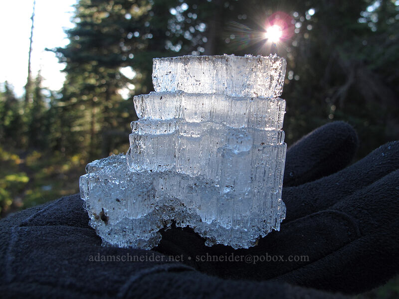 layered ice from the trail [Cultus Creek Trail, Indian Heaven Wilderness, Skamania County, Washington]