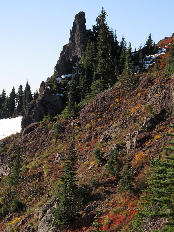 Bird Mountain pinnacles [Bird Mountain, Indian Heaven Wilderness, Skamania County, Washington]