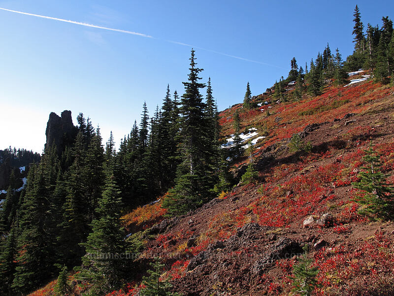 Bird Mountain pinnacles & bright fall colors [Bird Mountain, Indian Heaven Wilderness, Skamania County, Washington]