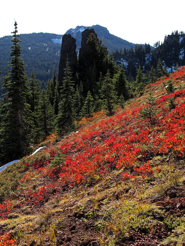 Bird Mountain pinnacles & bright fall colors [Bird Mountain, Indian Heaven Wilderness, Skamania County, Washington]