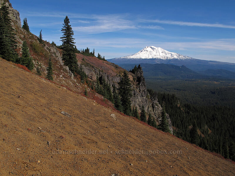Bird Mountain & Mt. Adams [Bird Mountain, Indian Heaven Wilderness, Skamania County, Washington]