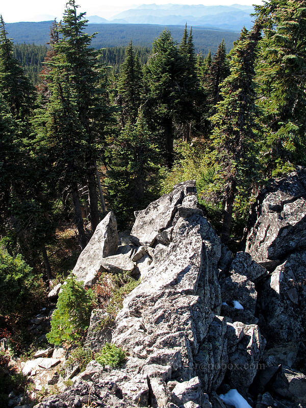 scrambly rocks on Peak 5618 [Bird Mountain, Peak 5618, Indian Heaven Wilderness, Skamania County, Washington]