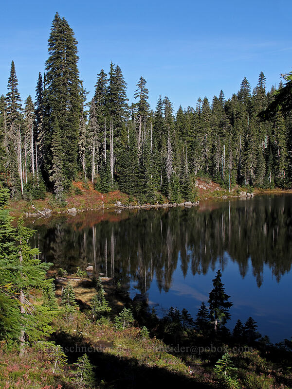 Cultus Lake [Indian Heaven Trail, Indian Heaven Wilderness, Skamania County, Washington]