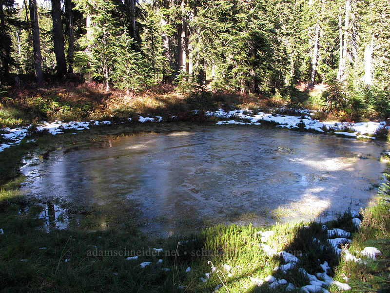 frozen pond [Indian Heaven Trail, Indian Heaven Wilderness, Skamania County, Washington]