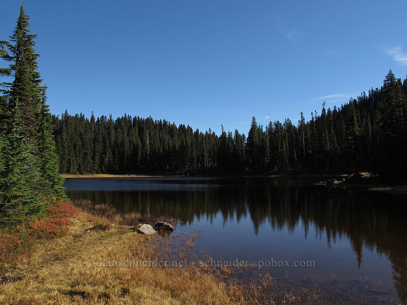Junction Lake [Indian Heaven Trail, Indian Heaven Wilderness, Skamania County, Washington]