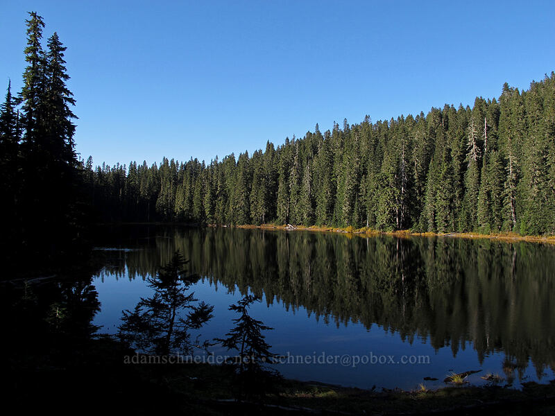 Deer Lake [Pacific Crest Trail, Indian Heaven Wilderness, Skamania County, Washington]