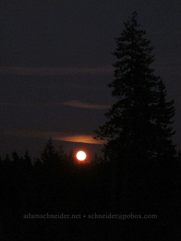 moonrise [State Route 141, Trout Lake, Klickitat County, Washington]