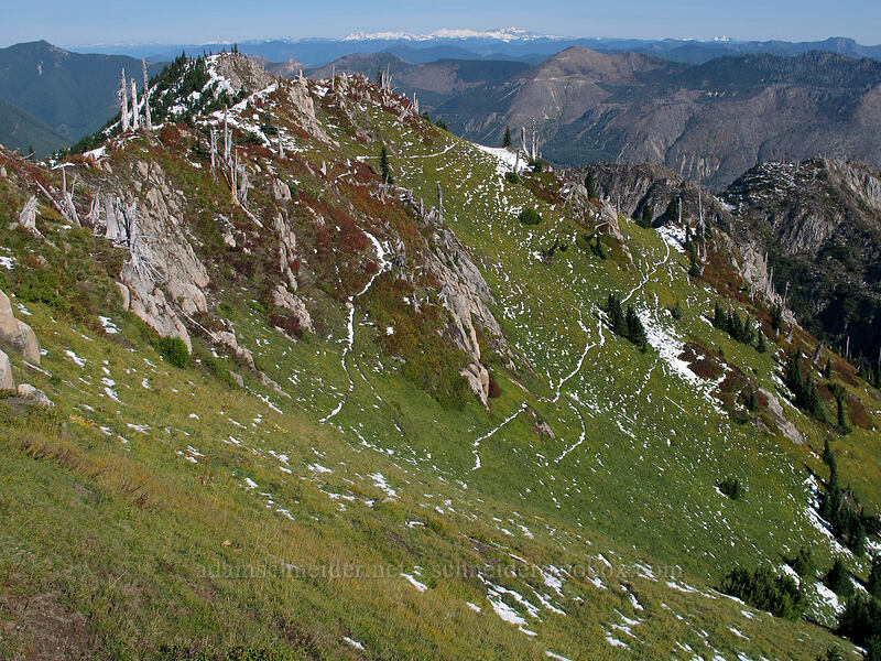 ridge above Boot Lake [Mt. Whittier Trail, Mt. St. Helens National Volcanic Monument, Skamania County, Washington]