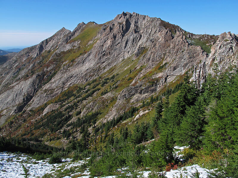 Whittier Ridge [Mt. Whittier Trail, Mt. St. Helens National Volcanic Monument, Skamania County, Washington]