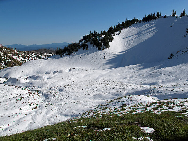 snowy basin filled with animal tracks [Boundary Trail, Mt. St. Helens National Volcanic Monument, Skamania County, Washington]
