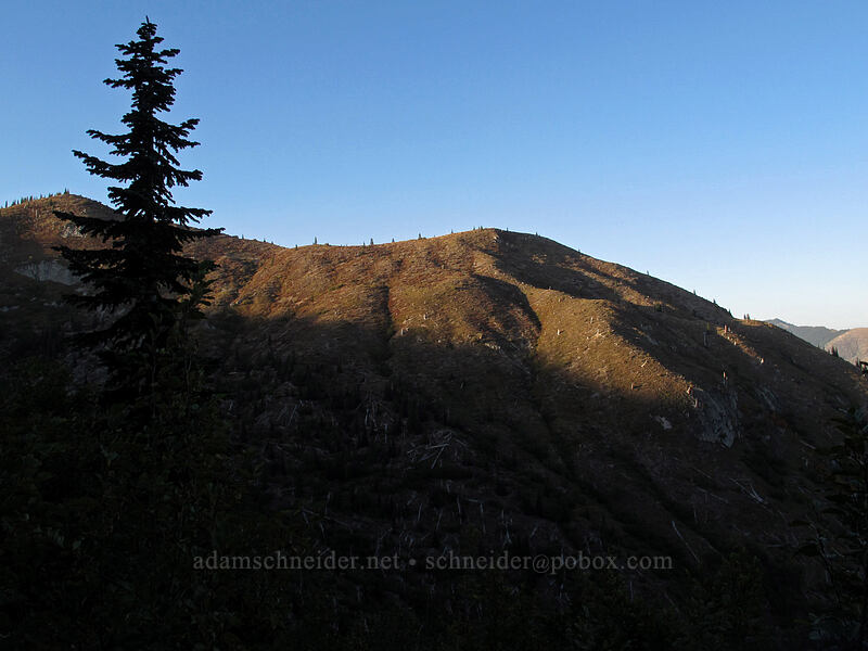 fall colors & evening shadows [Boundary Trail, Gifford Pinchot National Forest, Skamania County, Washington]
