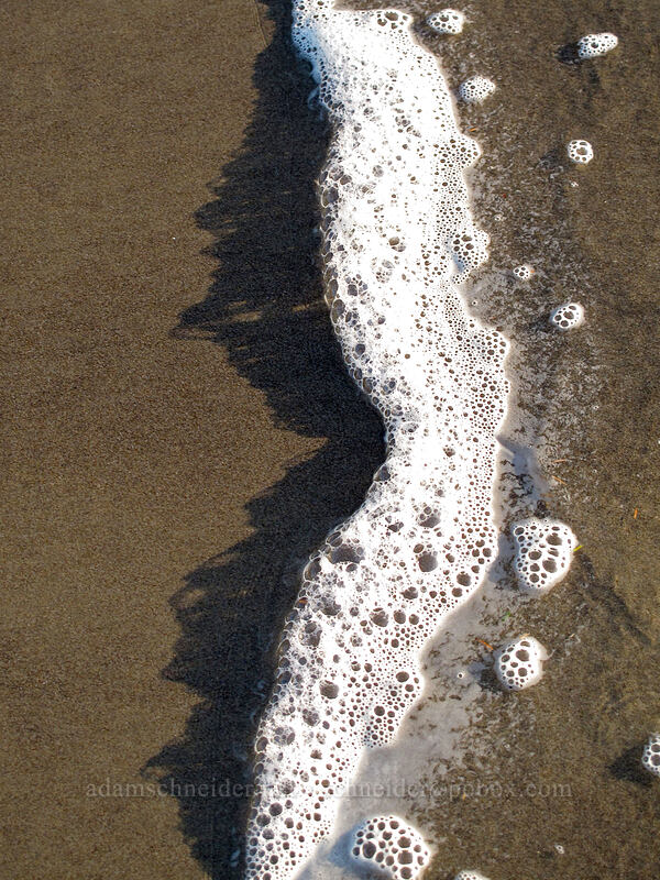 bubble shadows [Short Sands Beach, Oswald West State Park, Tillamook County, Oregon]
