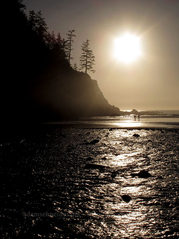late afternoon sun [Short Sands Beach, Oswald West State Park, Tillamook County, Oregon]