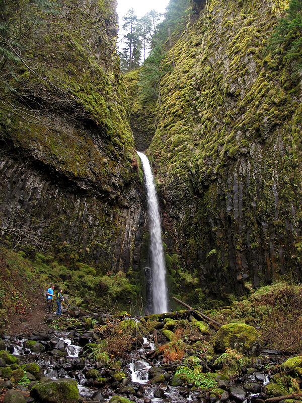 Dry Creek Falls [Dry Creek Falls, Columbia River Gorge, Hood River County, Oregon]