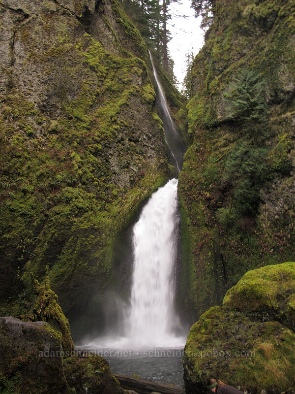 Wahclella Falls [Wahclella Falls Trail, Columbia River Gorge, Multnomah County, Oregon]