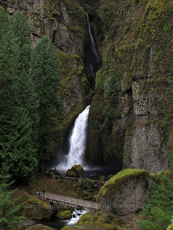 Wahclella Falls [Tanner Creek Valley, Columbia River Gorge, Multnomah County, Oregon]