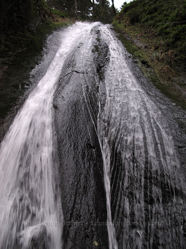 trailside waterfall (Munra Falls) [Wahclella Falls Trail, Columbia River Gorge, Multnomah County, Oregon]