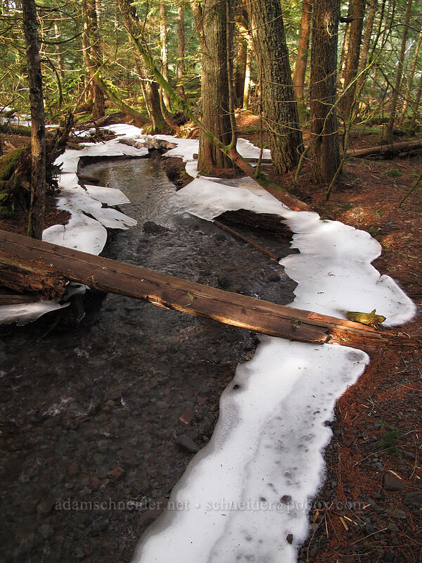 ice-edged stream [Pacific Crest Trail, Mt. Hood National Forest, Clackamas County, Oregon]