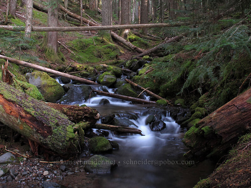 Ramona Creek [Ramona Falls, Mt. Hood Wilderness, Clackamas County, Oregon]