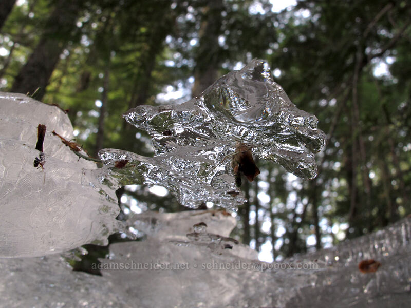 ice blade [Sandy River Trail, Mt. Hood National Forest, Clackamas County, Oregon]