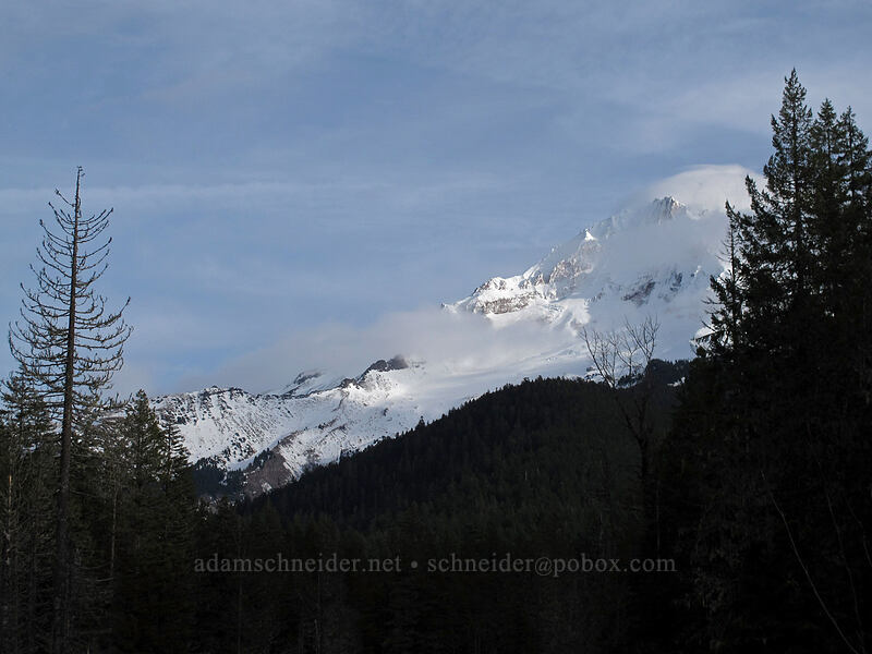 Mount Hood [Sandy River Trail, Mt. Hood National Forest, Clackamas County, Oregon]