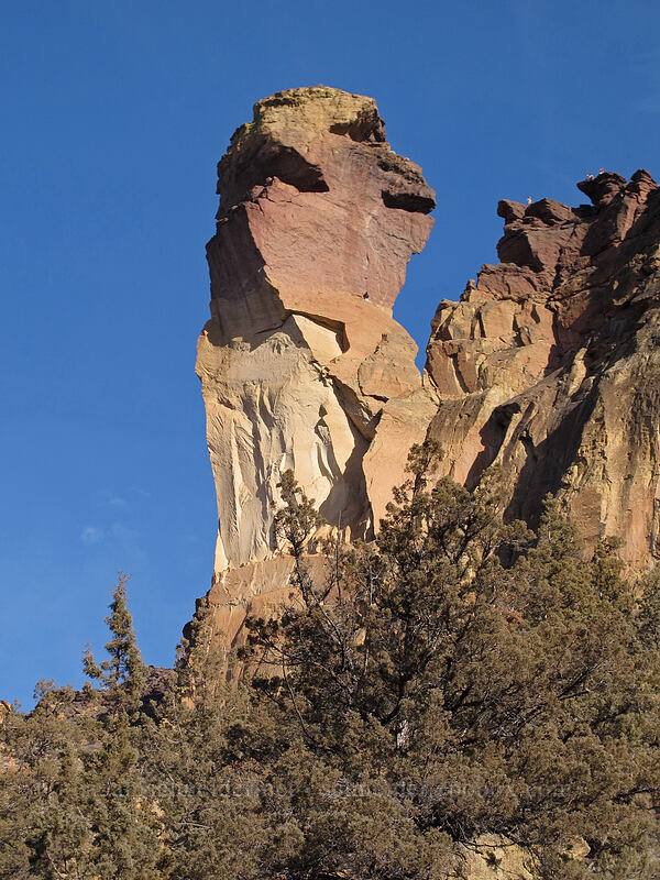 Monkey Face, earning its name [River Trail, Smith Rock State Park, Deschutes County, Oregon]