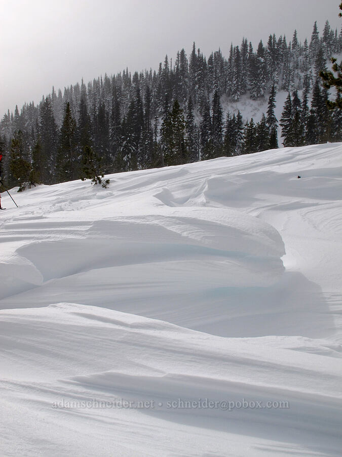 wind-sculpted snow [White River Canyon, Mt. Hood National Forest, Hood River County, Oregon]