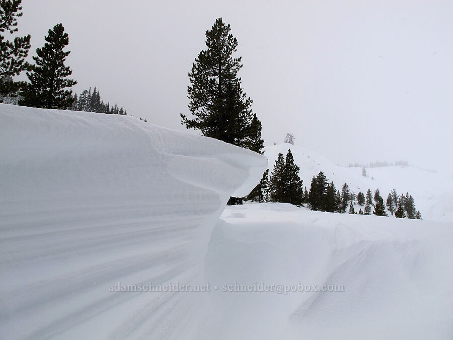 wind-sculpted snow [White River Canyon, Mt. Hood National Forest, Hood River County, Oregon]