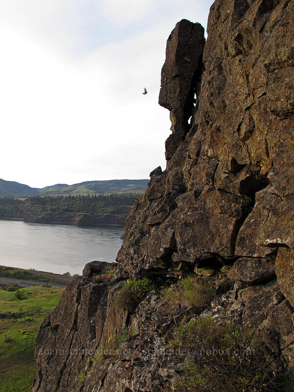 cliffs above Rowena Dell [Rowena Plateau Trail, Wasco County, Oregon]