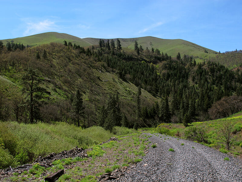 Stacker Butte [Klickitat Trail, Klickitat County, Washington]