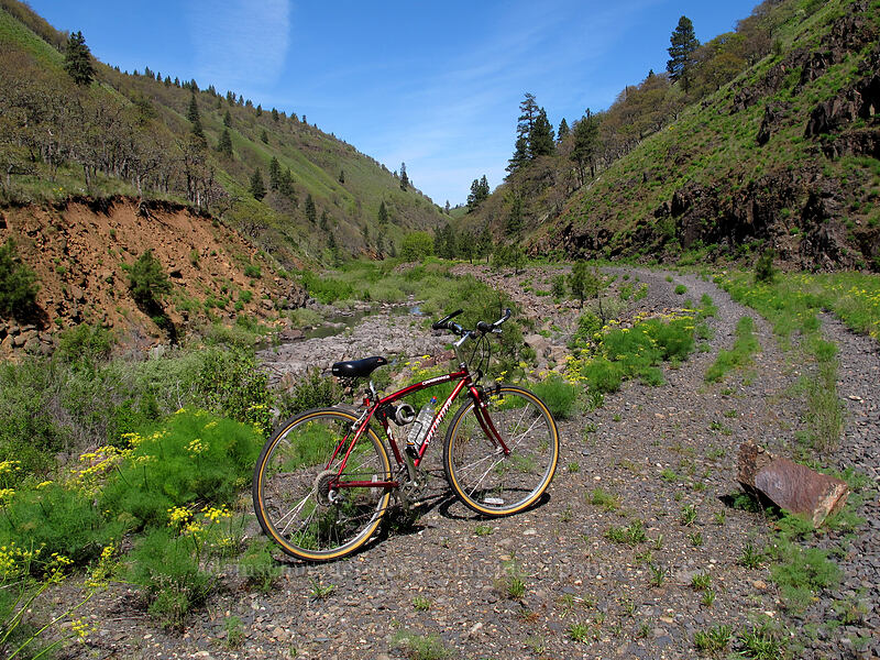 my bike in Swale Canyon [Swale Canyon, Klickitat County, Washington]