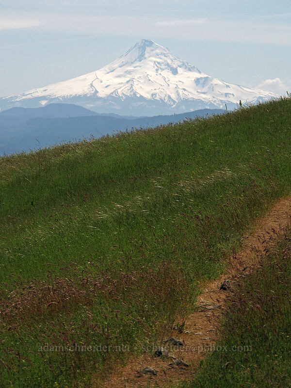Mount Hood [Tracy Hill, Klickitat County, Washington]
