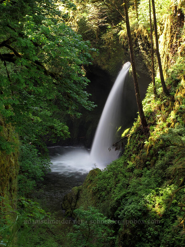 Metlako Falls [Eagle Creek Trail, Columbia River Gorge, Hood River County, Oregon]